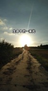 1、愿时光慢慢行，做你的双脚，陪你到老 骄阳如火，带你走荫凉，护你落日余辉