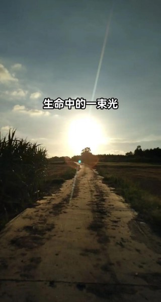 1、愿时光慢慢行，做你的双脚，陪你到老 骄阳如火，带你走荫凉，护你落日余辉