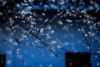闺蜜 qq名