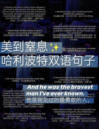 《哈利波特》——邓布利多教授的十六条至理名言