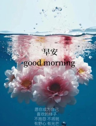 听起来简单干净舒服的的句子，发朋友圈人人点赞！