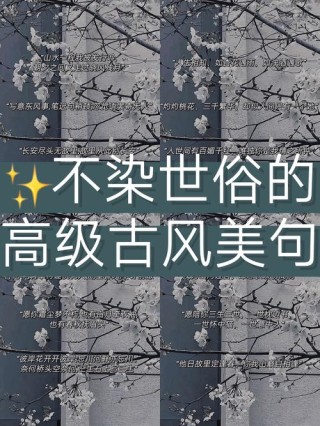唯美的古风句子，意境绝美，看一眼就沦陷！