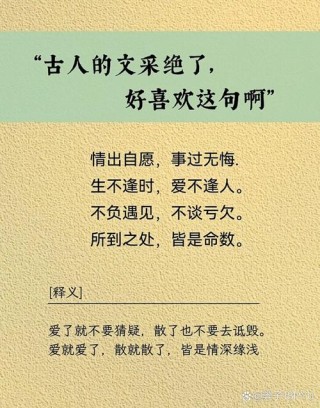 为何人们都忠于“情”字？