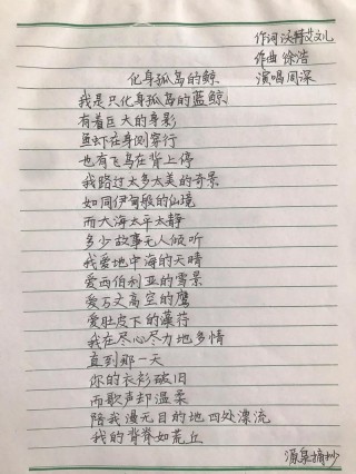 化身孤岛的鲸 文/马婷