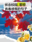 关于青春唯美的句子：一个懂得怀旧的人，总是会悲伤起来的