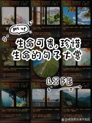 珍惜生命的名言，珍惜生命，感悟名言的智慧