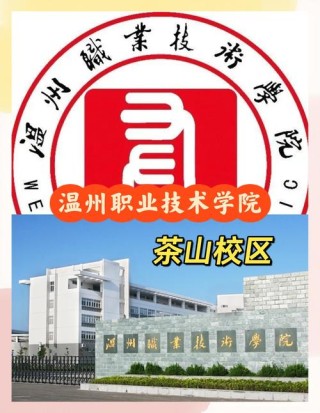 温州有哪些职业技术学院