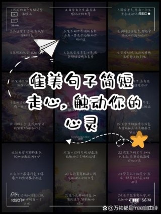 二十四条沁人心扉的句子，唯美有气质，百读不厌