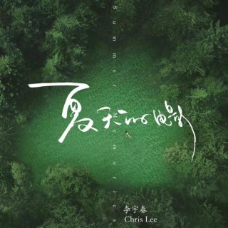 夏天，说声我爱你