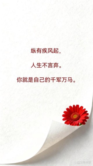 每天一句励志语录：动漫励志名言，纵有疾风起，人生不言弃