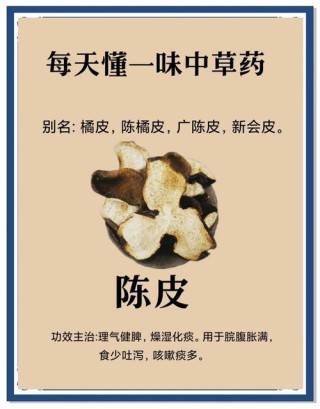 陈皮皮，人如其名，唯一