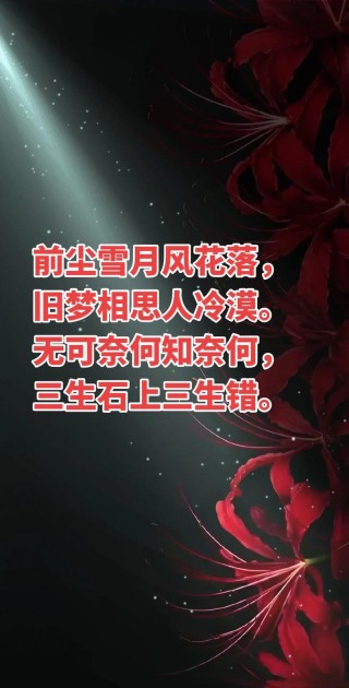 泪中红尘花非花