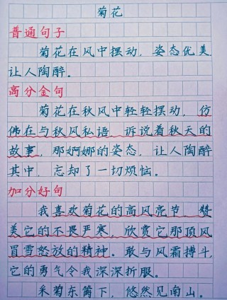 好句好段摘抄大全优美，优美好句好段摘抄大全