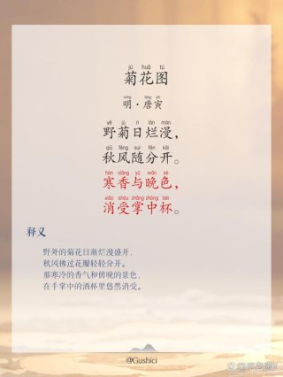 10首菊花诗词，唯美了整个秋天