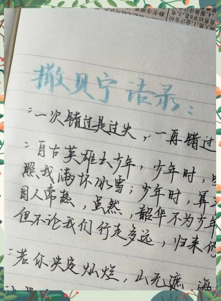 撒贝宁语录！每句堪称经典！看完受益匪浅