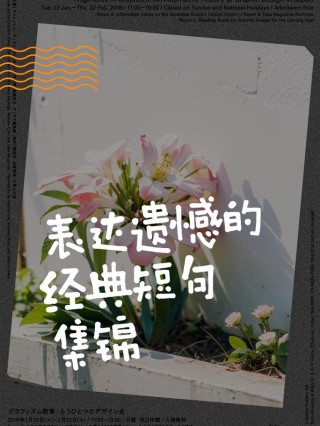 失去的遗憾才显多彩