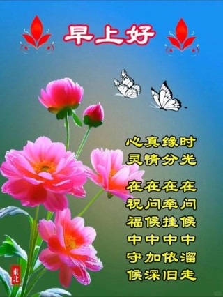 温暖心灵！24句朋友问候的暖心句子