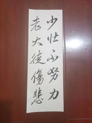 少壮不努力，老大徒伤悲；惜时 莫等闲……（2019励志）