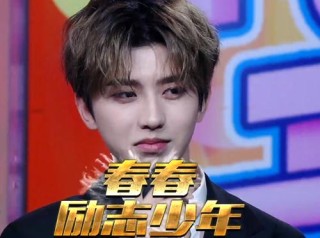 《蔡徐坤：娱乐界新宠儿的奋斗与荣耀》
