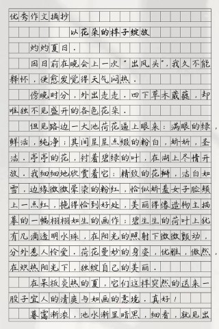 如花美眷作文
