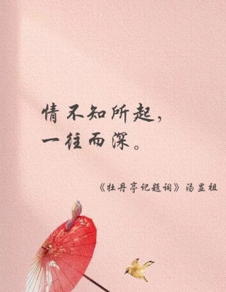 从恋爱到结婚，十五句古诗词告诉你如何在情人节表达爱意