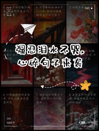 心情不好的伤感说说带图片句子，哪句让你落泪了?
