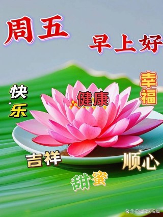 周五早安，冬日安康 早晨10条温馨祝福语，愿你平安健康、顺遂如意