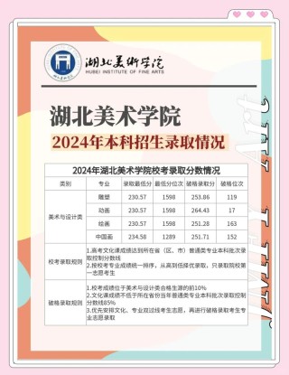 湖北美术学院艺术设计学专业怎么样？排名好不好