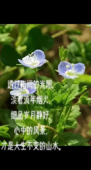 留一份永恒静好的岁月