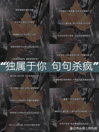 别追不累的羊，心无旁骜，抓到属于你自己的羊