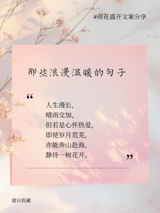 简单治愈的精选句子，精辟入心，值得一看