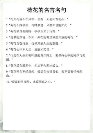 赞美荷花的简短句子，荷花文案唯美干净