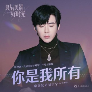 你是我的所有