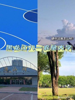 黑龙江八一农垦大学是985还是211