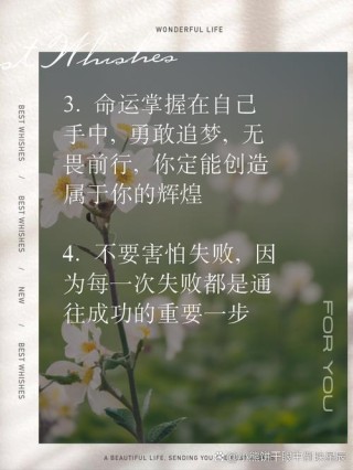 你的命运掌握在陌生人手上?励志文章
