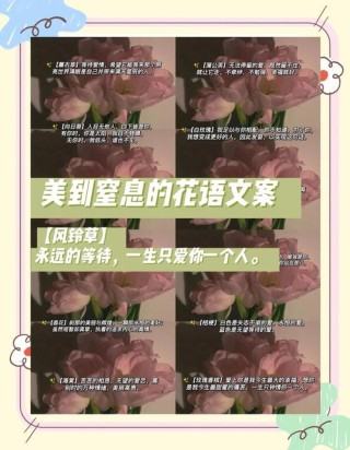 关于花的浪漫高级文案