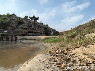 如梦河湾