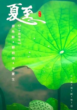 生活：仲夏