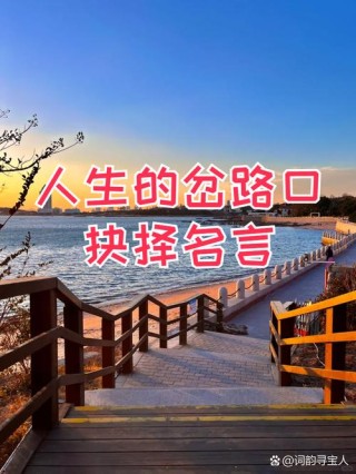选择决定命运的名言（励志名言）