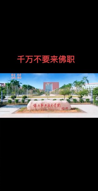 佛山有哪些职业技术学院