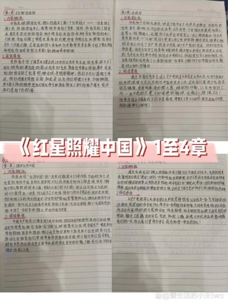 《红星照耀中国》第八篇《同红军在一起》好句摘抄及赏析