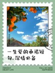 一生的承诺，谢谢你，陪我走过了这一生的思念