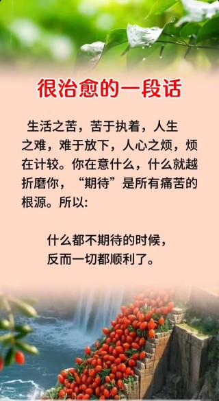 至理名言人生感悟，至理名言，人生感悟的智慧结晶