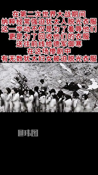 脱掉人类的外衣