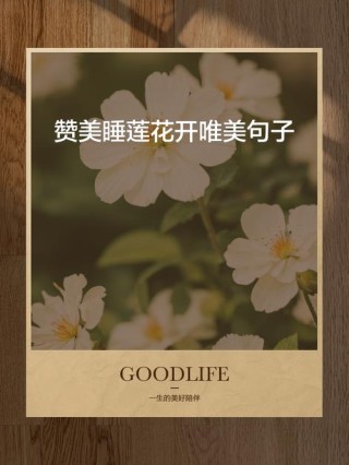 赞美花的句子唯美短句，分享给你