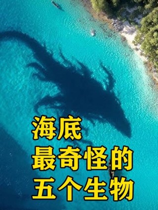 现实中的海底怪物：哥斯拉寓言背后的故事，海底怪物原来如此真实
