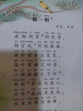 一寸相思几寸灰