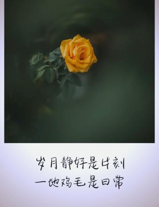 岁月静好，你不来，我不老