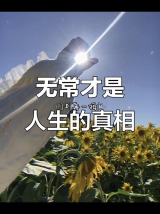 “人生无常，唯有坚持永恒——通往成功的通行证