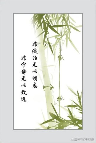 淡泊